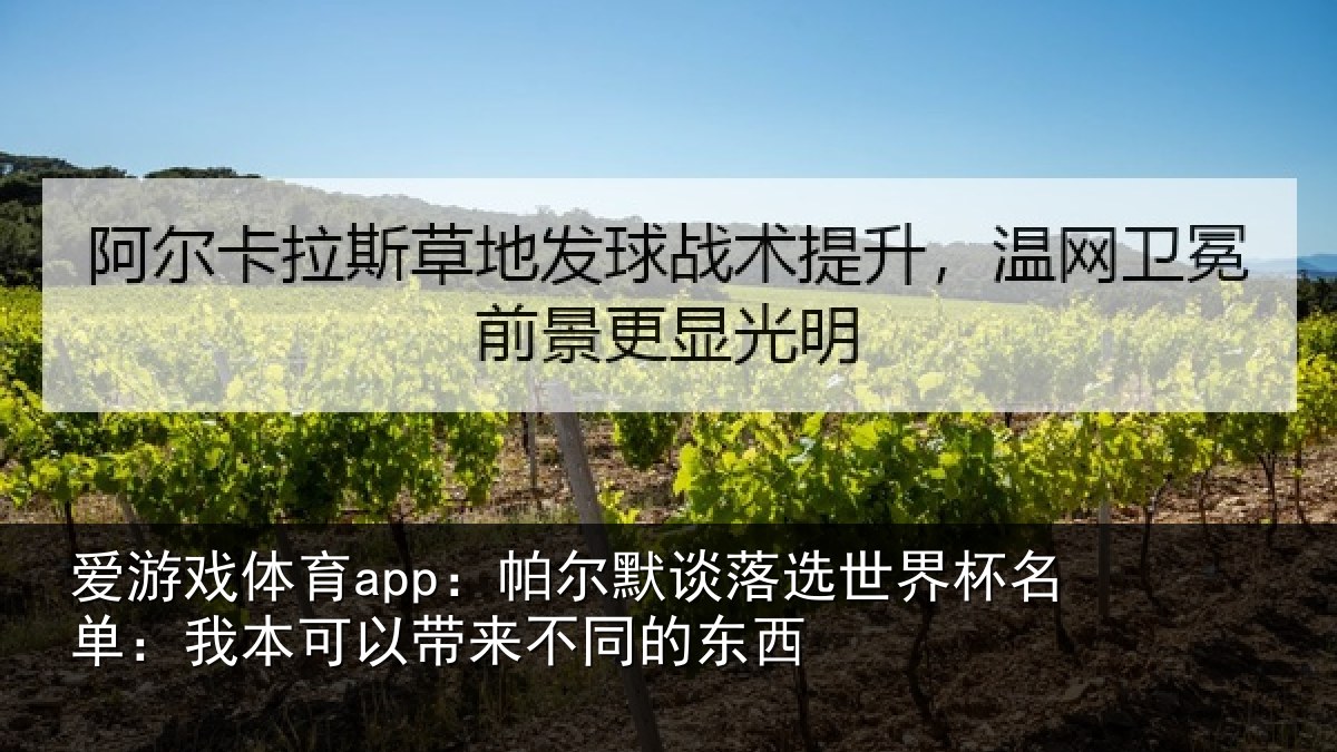 爱游戏体育app：帕尔相关情况单：我本可相关情况
