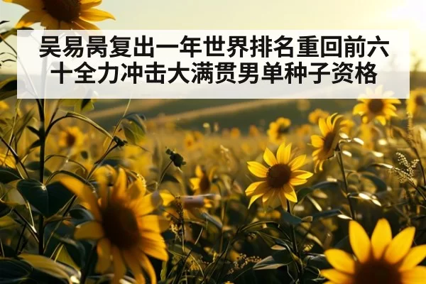 吴易昺复出一年世界排名重回前六十全力冲击大满贯男单种子资格
