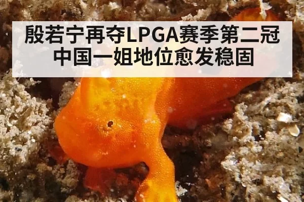 殷若宁再夺LPGA赛季第二冠中国一姐地位愈发稳固